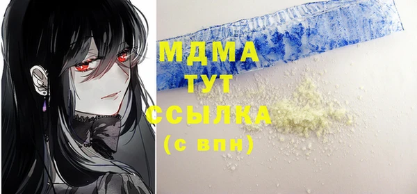мдпв Арсеньев