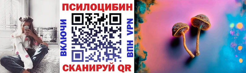 наркошоп  Бирюсинск  Псилоцибиновые грибы Magic Shrooms 