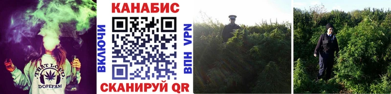 где можно купить Бирюсинск Бошки Шишки тримм